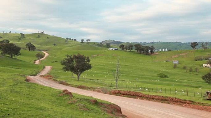 澳大利亚养羊场