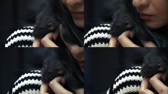 美丽可爱的女孩握着一只小家小宠物棕色老鼠特写。她拍着吻，微笑着。带着宠物鼠的年轻女子
