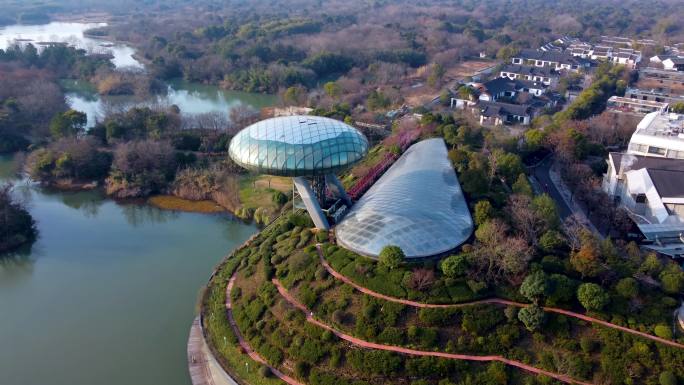 杭州 西溪湿地 湿地博物馆 西溪天堂 东