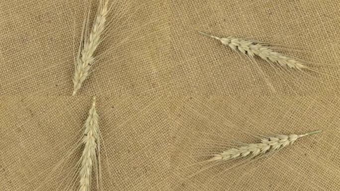 躺在粗麻布上的小麦小穗的旋转