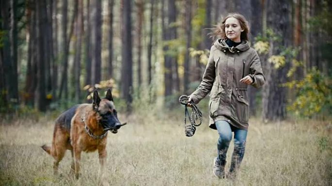 年轻女子手持皮带与牧羊犬在秋天的森林中奔跑，慢动作