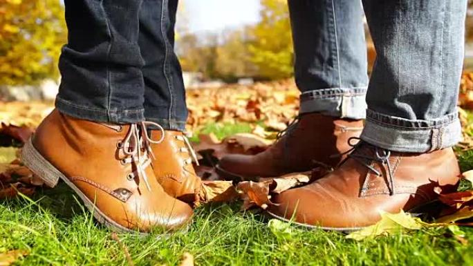 两只棕色皮鞋在秋天的黄色公园接吻
