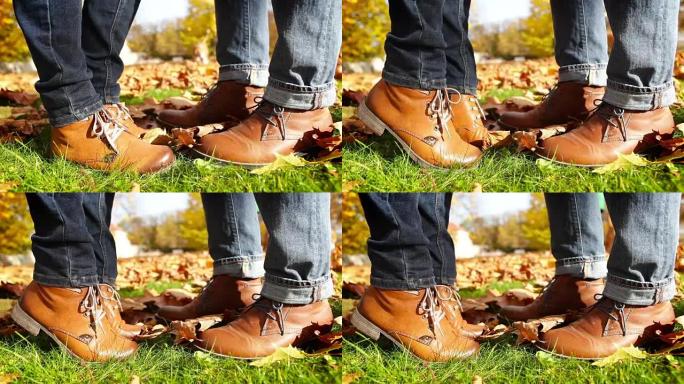 两只棕色皮鞋在秋天的黄色公园接吻