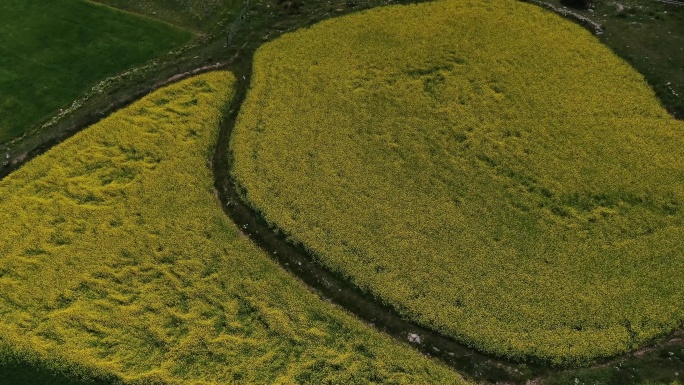 美丽田地