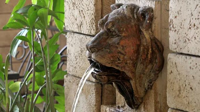 喷泉墙上的雕塑石头狮子的头，从口中干净的水中延伸出来