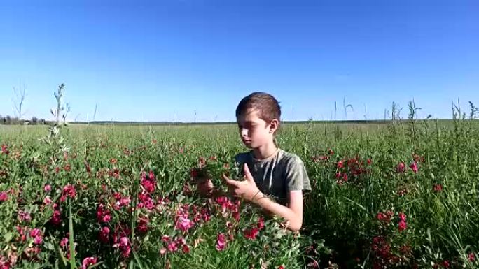 十几岁的男孩在草地上摘花。