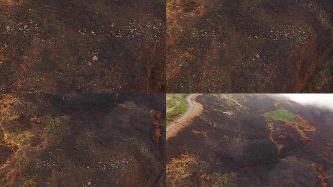 葡萄牙马德拉大火后烧毁的森林鸟瞰图