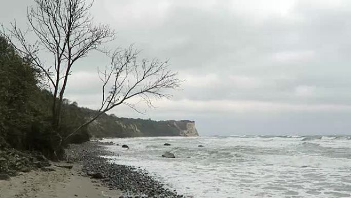 波罗的海沿岸阿科纳角的海滩景观。粉笔悬崖和黑刺灌木丛。(德国梅克伦堡-前波美拉恩) 鲁根岛。