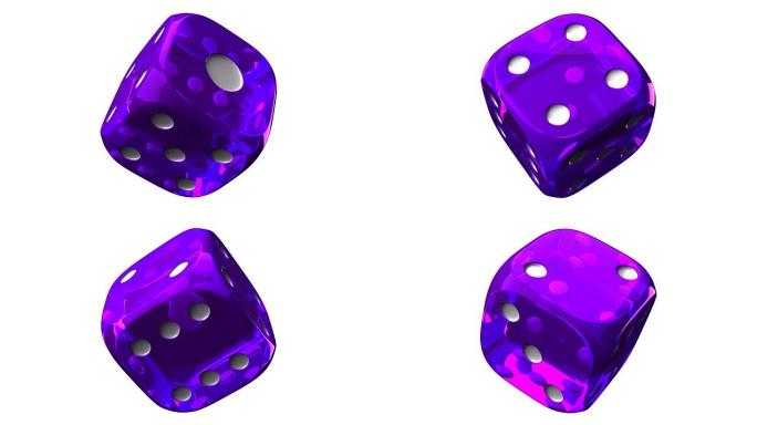 紫色骰子在白色的背景