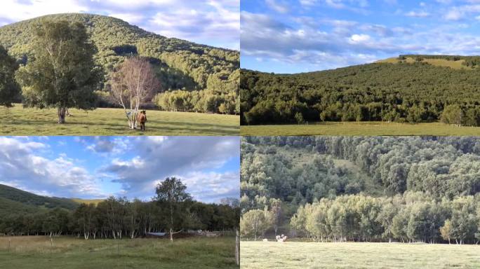 远离喧嚣，感受蓝天白云草原的惬意生活