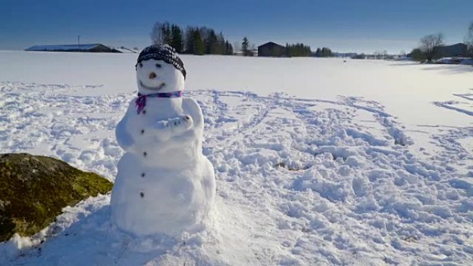 地面上许多雪人之一