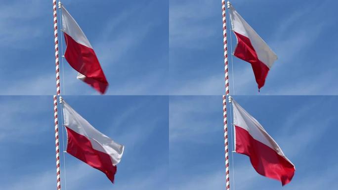 波兰国旗在风中飘扬