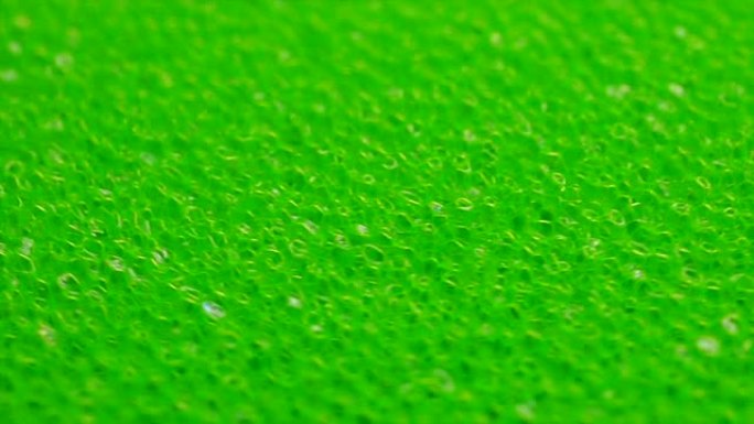 绿色多孔海绵特写旋转
