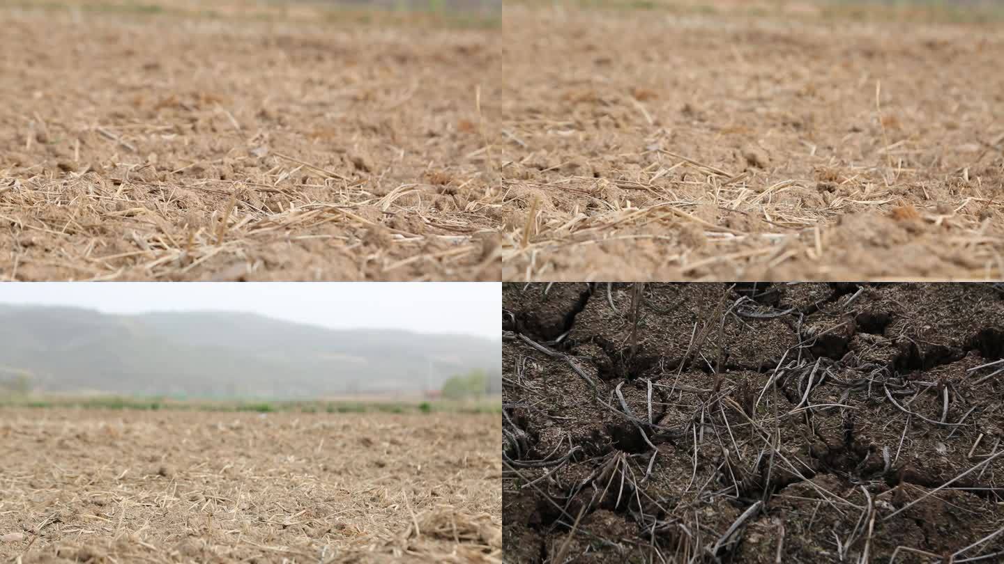土地 稻田 自留地 土壤