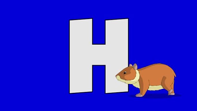 字母H和仓鼠 (前景)
