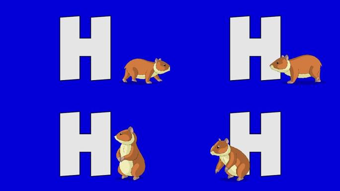 字母H和仓鼠 (前景)