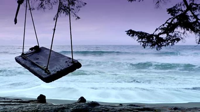绳索秋千椅，海滩上的冬季风暴冲浪，乌云和风