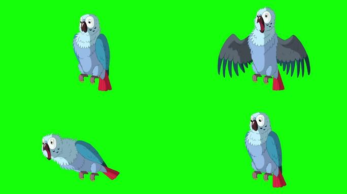 蓝鹦鹉生气了。经典迪士尼风格动画