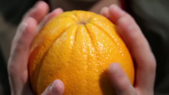 人类手中的大橙色