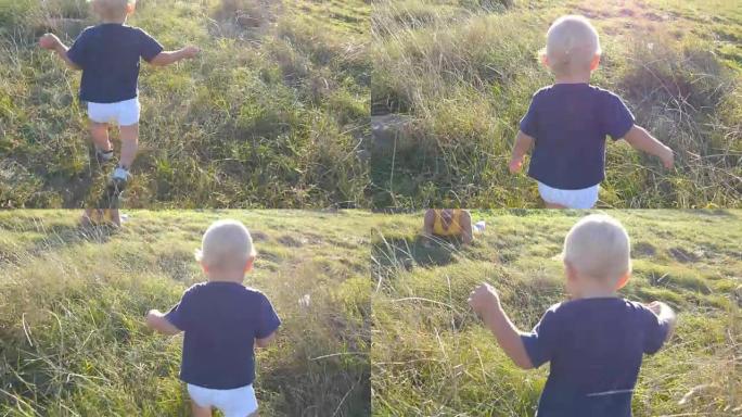 晴天，小孩在田野里的绿草地上走向父亲。夏日草地上幸福的家庭。男婴在户外走向他的爸爸。蹒跚学步的孩子。