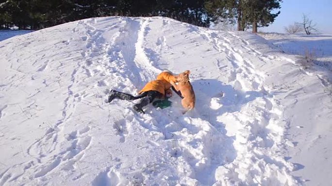 女孩在冬天的雪公园和狗一起玩很开心，十几岁的女孩和狗在雪橇上滑下山坡，阳光明媚的寒冷日子。