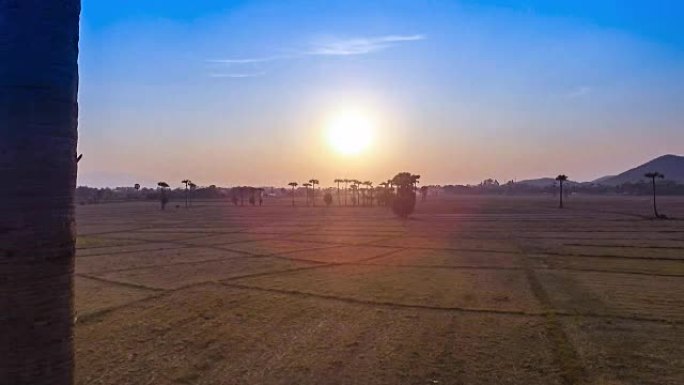 鸟瞰图在日落时间在农村农田上的棕榈树之间反向飞行
