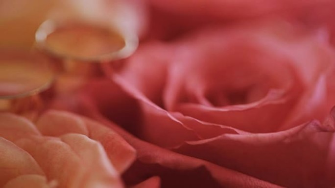 两枚金色新娘戒指躺在一束红玫瑰上