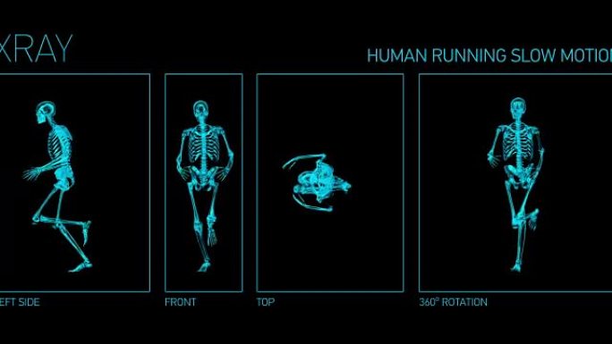 慢动作、4K、循环和阿尔法通道中的Xray人类跑步