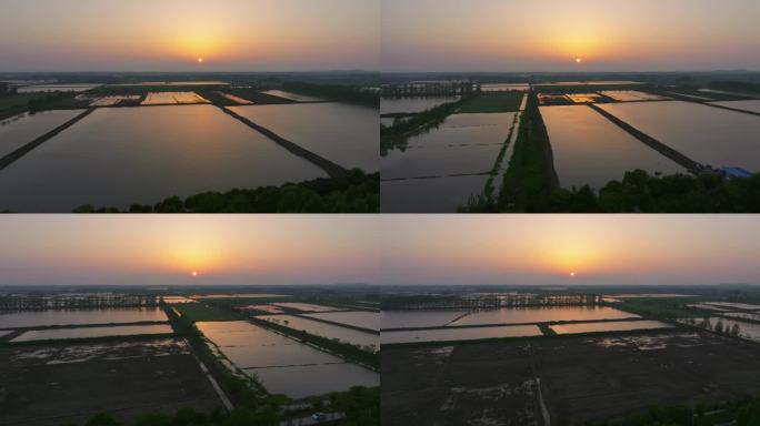 武汉蔡甸区洪北乡渔村水产养殖航拍日落夕阳