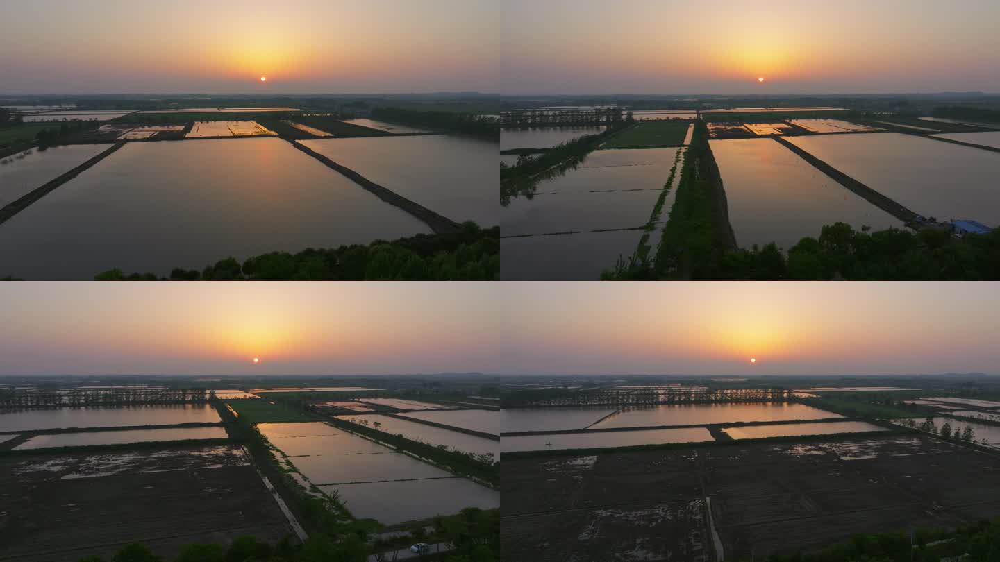 武汉蔡甸区洪北乡渔村水产养殖航拍日落夕阳