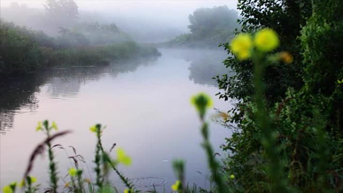 早晨的河雾和美丽的浮子
