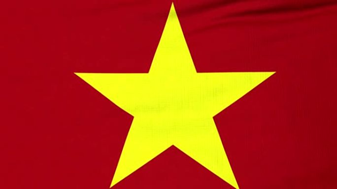 飘扬的越南国旗