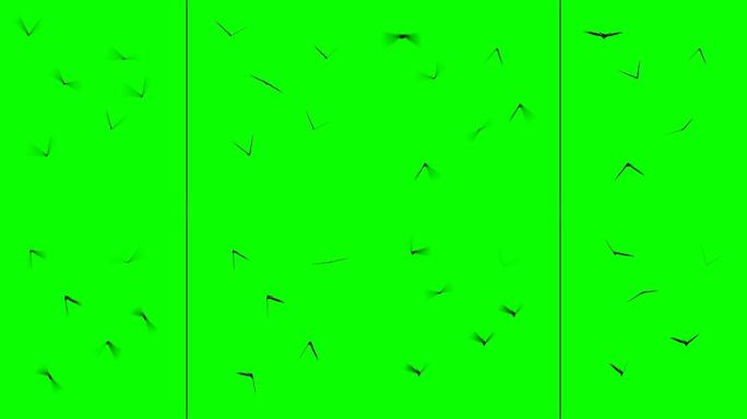 在绿色屏幕背景上飞行的昆虫分为两组。平原和运动模糊