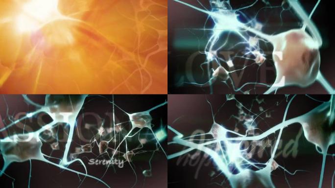 积极情绪: 放大眼睛进入大脑/神经元活动