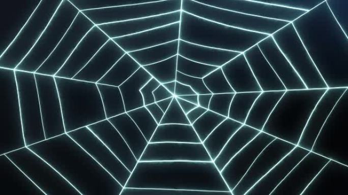 蜘蛛的网络动画循环