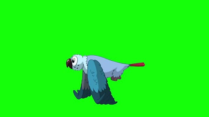 蓝鹦鹉会飞。经典迪士尼风格动画