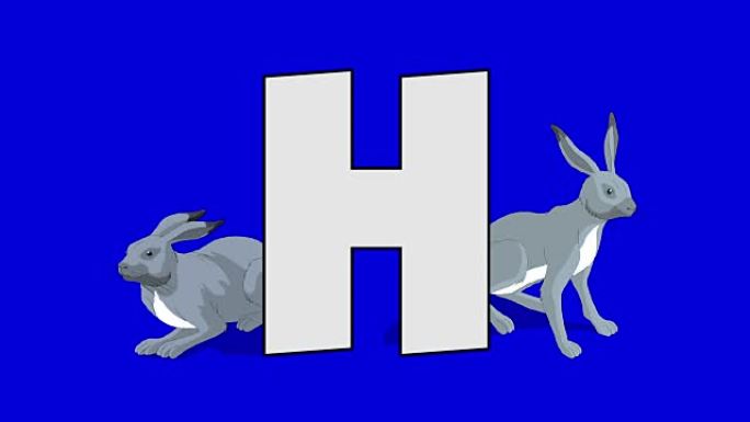 字母H和野兔 (背景)