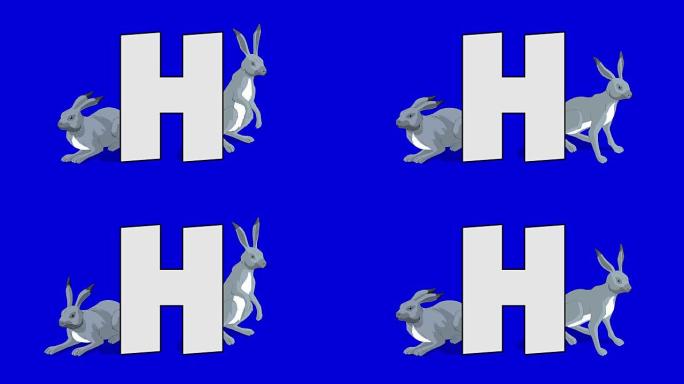 字母H和野兔 (背景)