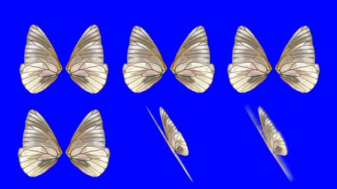 一组飞蛾翅膀在蓝屏背景上以不同的速度和角度挥舞