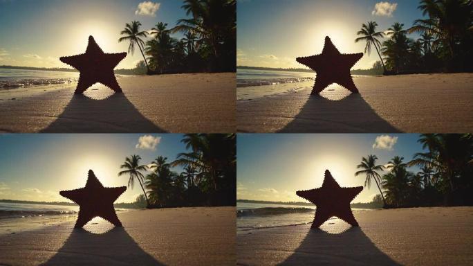 热带岛屿日出。沙滩，棕榈树和海星，视频