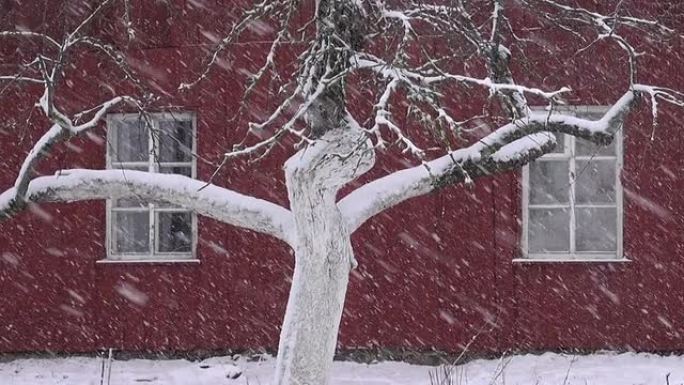冬季村庄的暴风雪