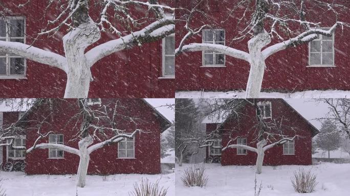 冬季村庄的暴风雪