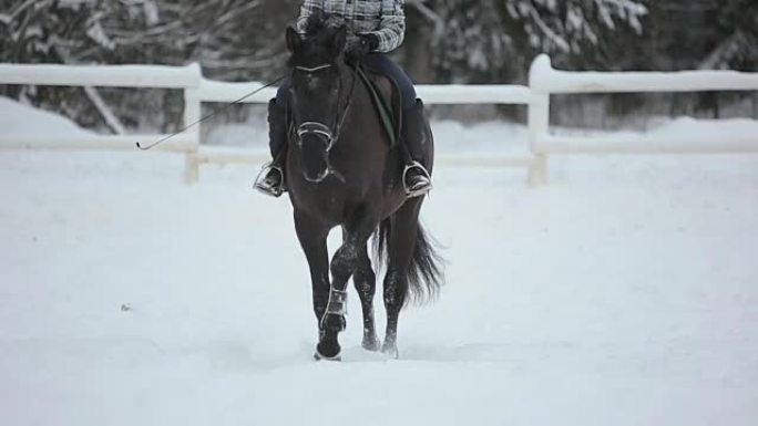 冬天骑马的女人。慢动作