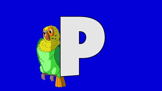 字母P和鹦鹉 (背景)