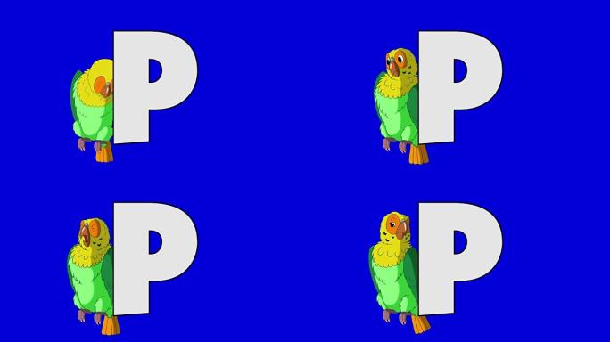 字母P和鹦鹉 (背景)