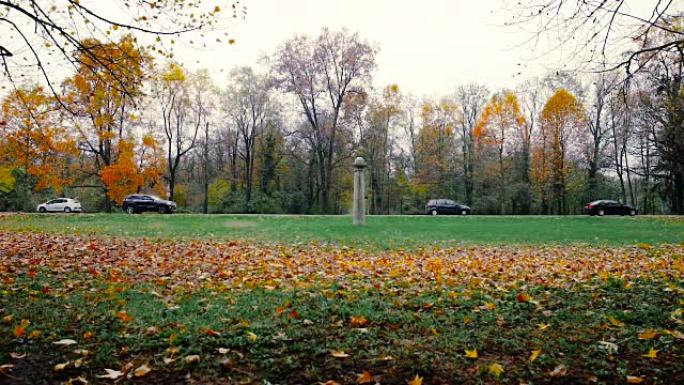 秋天，汽车在公园附近的道路上经过