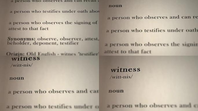 证人定义