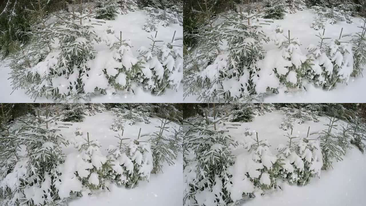 新年快乐，圣诞节，3d冬季背景2017