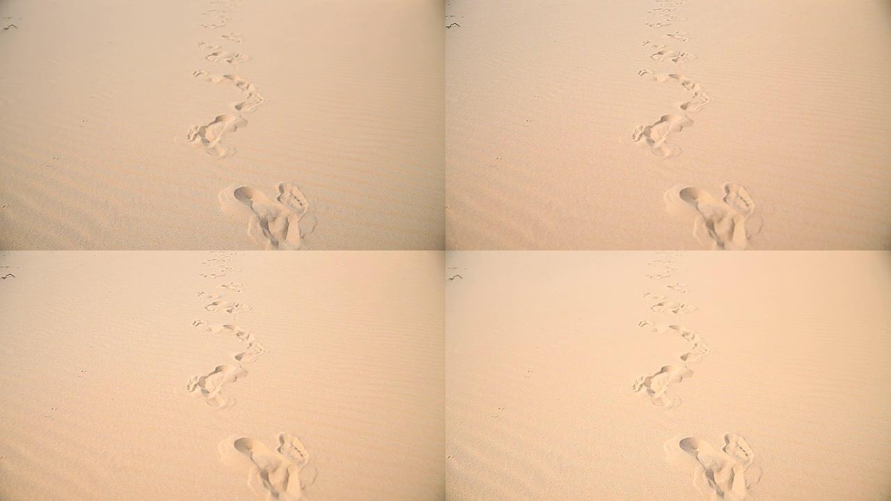 沙漠中的人类足迹