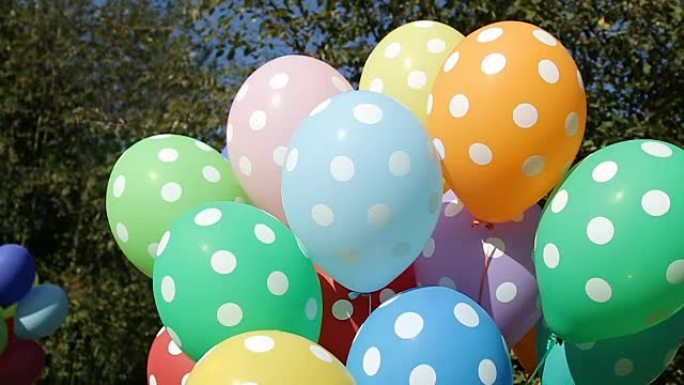 五颜六色的充气氦气球捆中的圆点从树上飞来